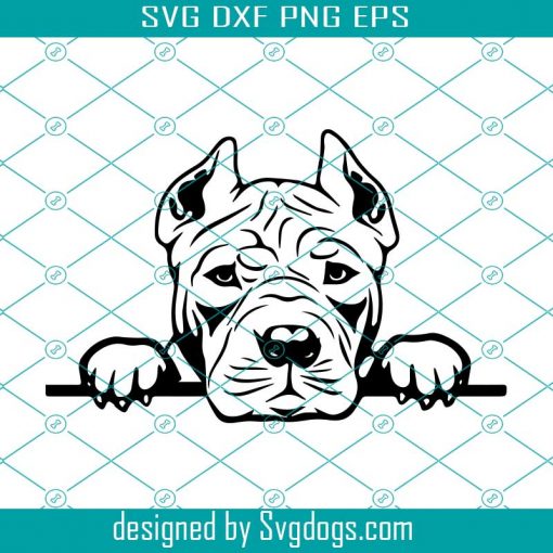 Pit Bull Peeking Smiling Svg, Dog Breed Animal Svg, Animal Svg