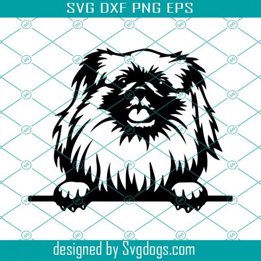 Pekingese Svg, Peeking Smiling Dog Svg, Breed Animal Pet Puppy Svg, Paw Canine Pedigree Design Logo Svg