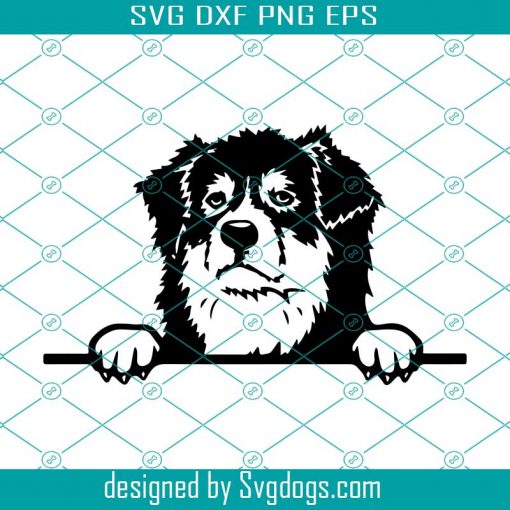 Australian Shepard Dog Svg, Breed K-9 Animal Svg, Pet Puppy Paw svg