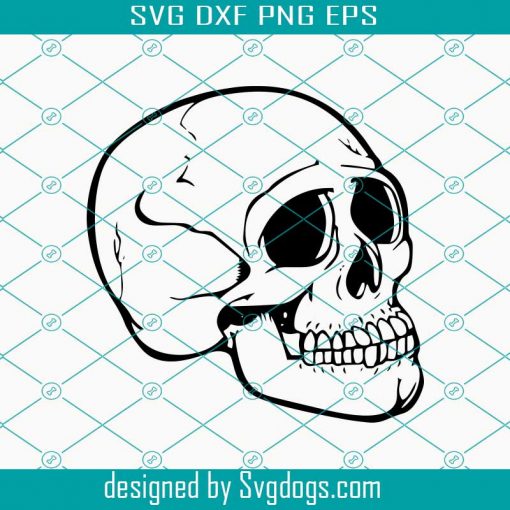 Anatomy Skull Svg, Skull Svg, Biker Skull Svg, Anatomy Skull Svg