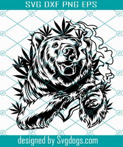 Chill Rasta Bear illustration svg, Rasta Bear svg, Bear Anima Smoking weed svg
