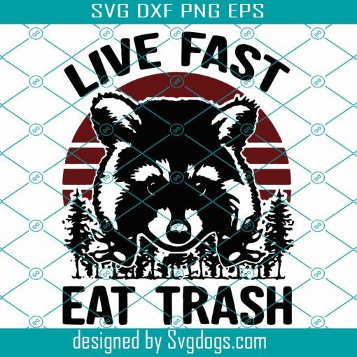 Live Fast Eat Trash Svg, Trending Svg, Live Fast Svg, Raccoon Svg, Retro Raccoon Svg, Vintage Racoon Svg, Cute Raccoon Svg