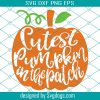 Cutest Little Pumpkin In The Patch Svg, Pumpkin Svg, Thanks Giving Svg, Funny Cute Svg