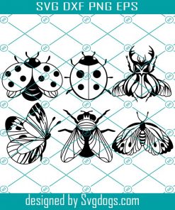 Insects Template Svg, Insect Silhouette Svg Bundle, Insect Svg, Beetle Svg, Fly Stencil Svg