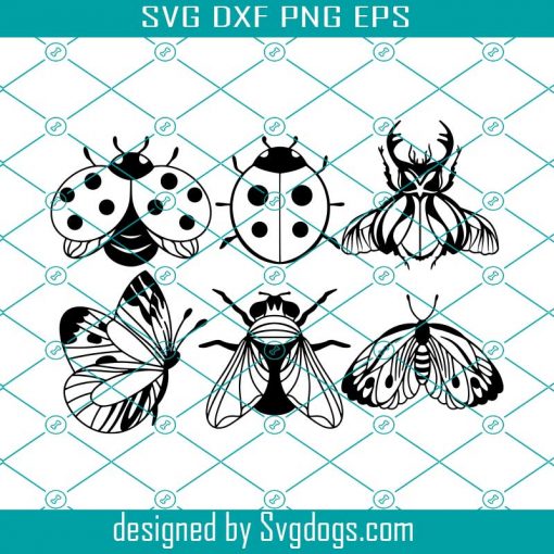 Insects Template Svg, Insect Silhouette Svg Bundle, Insect Svg, Beetle Svg, Fly Stencil Svg