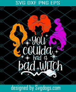 You Coulda Had A Bad Witch Svg, Hocus Pocus Svg, Halloween Bad Witch Svg