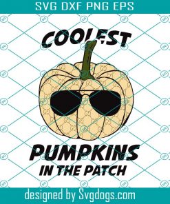 Coolest Pumpkins In The Patch Svg, Coolest Pumpkin Svg, Pumpkin Patch Svg