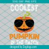 Coolest Pumpkin In Patch Svg, Halloween Svg, LGBT Svg