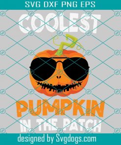 Coolest Pumpkin In The Patch Svg, Halloween Svg,Pumpkin Svg