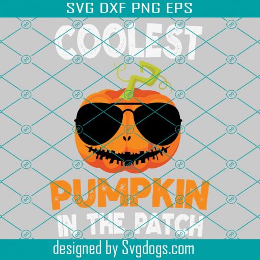 Coolest Pumpkin In The Patch Svg, Halloween Svg,Pumpkin Svg