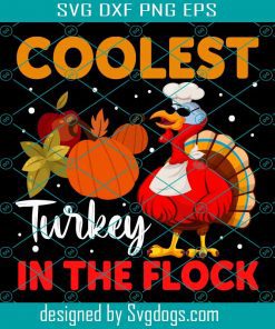Coolest Turkey In Thanksgiving Svg, Thanksgiving Svg, Turkey Svg