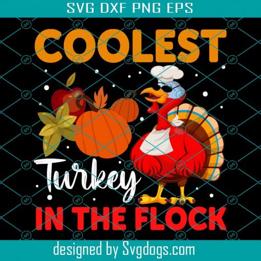Coolest Turkey In Thanksgiving Svg, Thanksgiving Svg, Turkey Svg