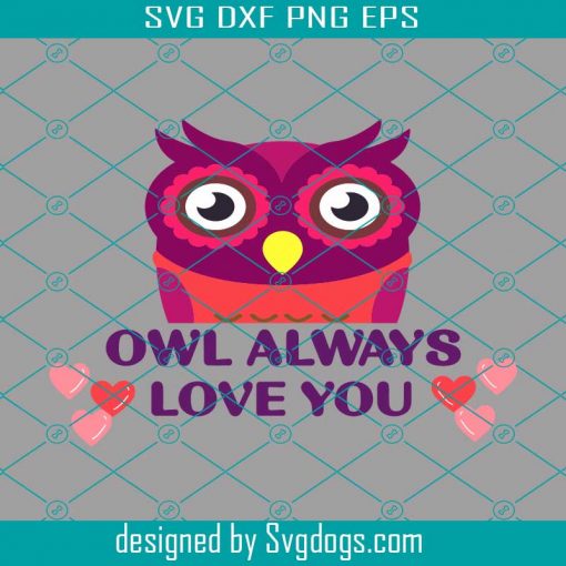 Funny Cute Valentines Day Owl Love Hearts Women Girls Svg, Owl Always Love You Svg, Valentines Day Svg