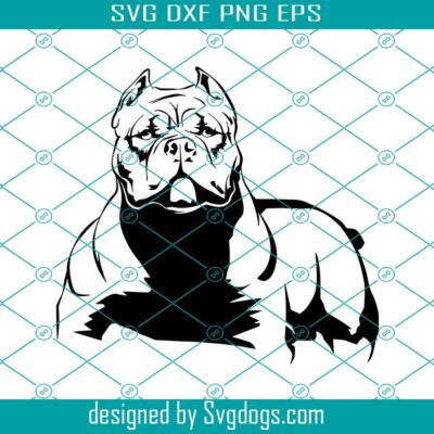 Pitbull Svg, American Pit Bull Svg, Dog Paw Svg, Dog Svg