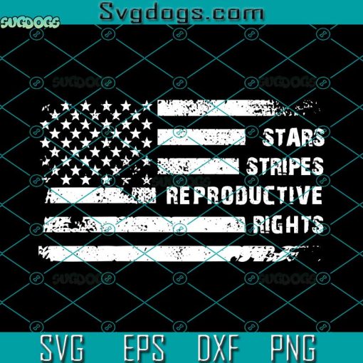 Stars Stripes Reproductive Rights Svg, US Flag 4th July Vintage Svg, 4th Of July Svg