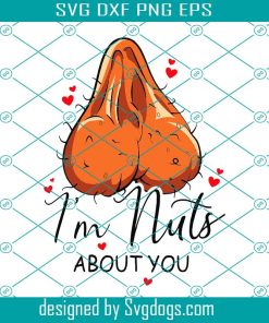 Im Nuts About You Svg, Funny Valentnes Day Svg, Fathers Day Svg