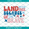 Red White And Rawr Svg, Fourth Of July Svg, Independence Day Svg, 4th Of July Funny Quote Svg