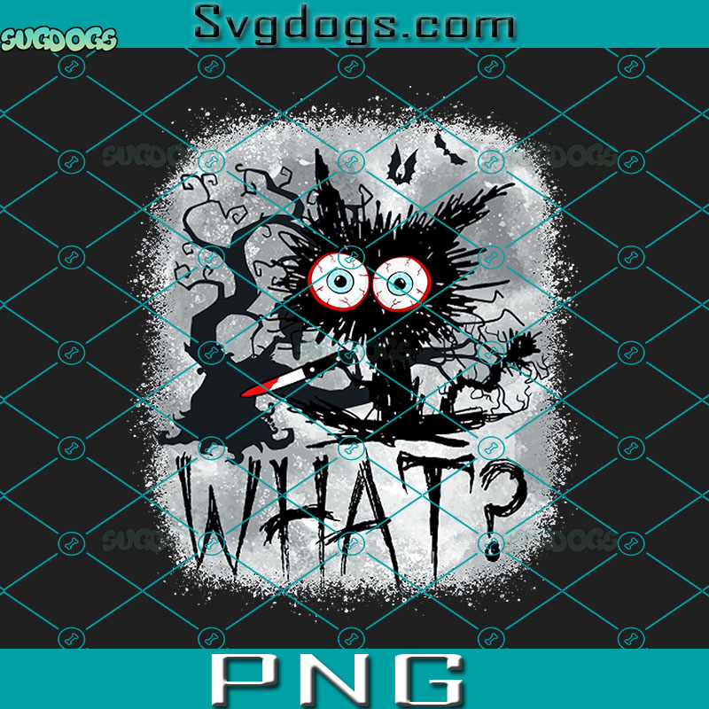Black Cat PNG, What Cat Knife PNG, Cat Meme Funny Halloween PNG