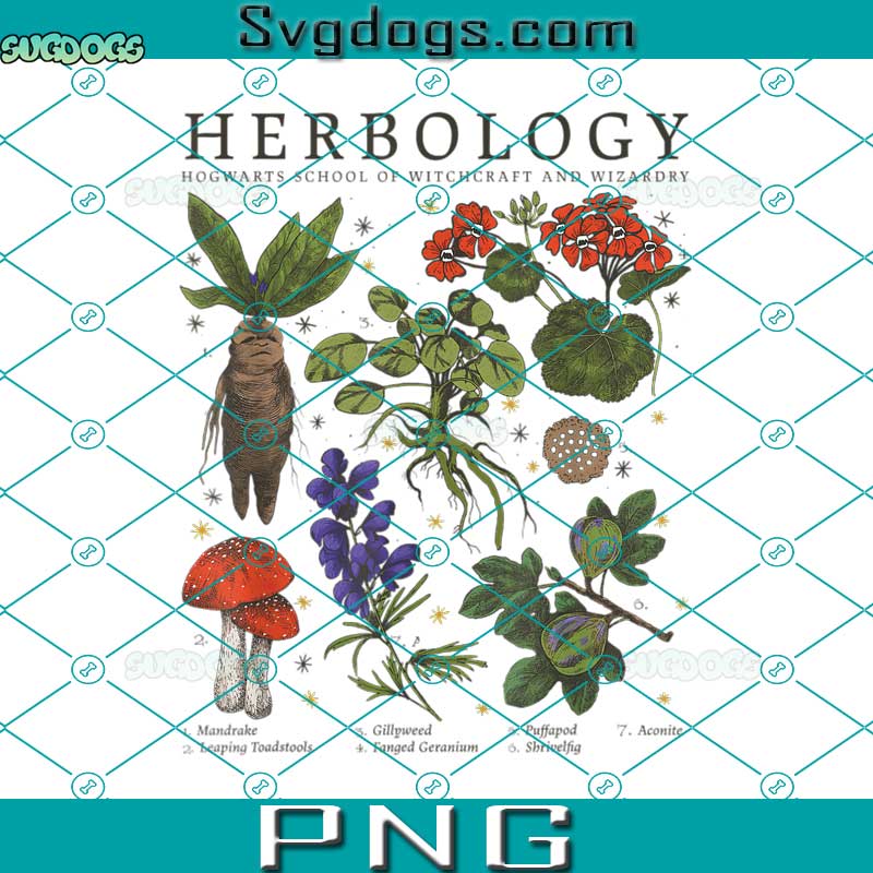 Harry Potter Herbology Plants PNG, Herbology PNG