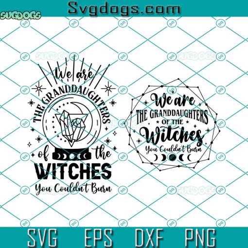We Are The Granddaughters Of The Witches You Couldn’t Burn SVG, Halloween SVG, Mystical SVG, Witch SVG