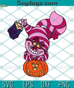 Cat Pumpkin SVG, Halloween SVG, Cat SVG, Pumpkin SVG