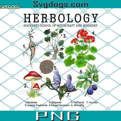 RD Herbology Plant PNG, Harry Potter Herbology Plants Movie PNG, Gardening PNG, Herbology PNG