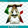 Canelo Alvarez Boxer PNG, Canelo Alvarez PNG, Canelo PNG