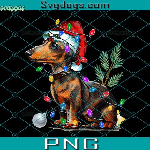 Dachsund Christmas Tree Lights PNG, Dog Christmas PNG, Dachsund Santa Hat PNG