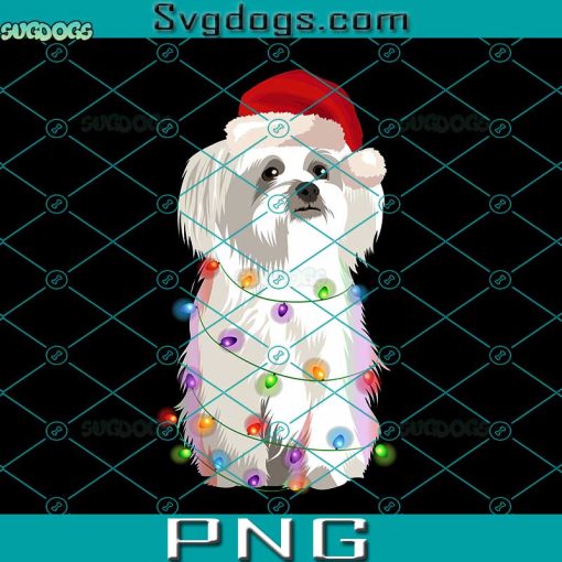 Maltese Christmas Lights Xmas Dog Lover PNG, Dog Christmas PNG