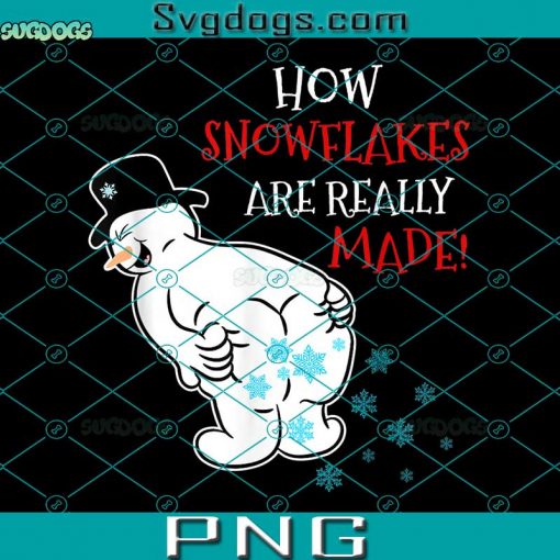 How Snowflake Are Really Made PNG, Christmas Cutome PNG, Funny Snowman PNG