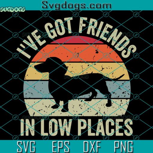 Dog I’ve Got Friends In Low Places SVG, Dachshund SVG, Funny Gift For Dachshund Lover SVG, Wiener Dog SVG PNG DXF EPS