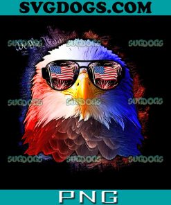 Eagle American Flag PNG, Eagles Flag USA PNG, Patriotic Distressed USA Flag With Eagle For 4th Of July PNG