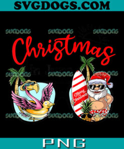 Christmas In June PNG, Christmas In June Sunglasses Santa Flamingo Summer PNG