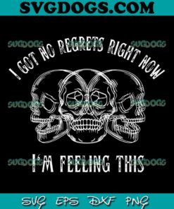 I Got No Regrets Right Now Blink 182 SVG PNG, I’m Feeling This SVG, Blink 182 SVG PNG EPS DXF