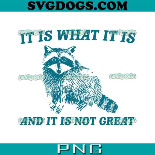 It Is What It Is And It Is Not Great SVG PNG, Mongoose SVG, Raccoon SVG PNG EPS DXF