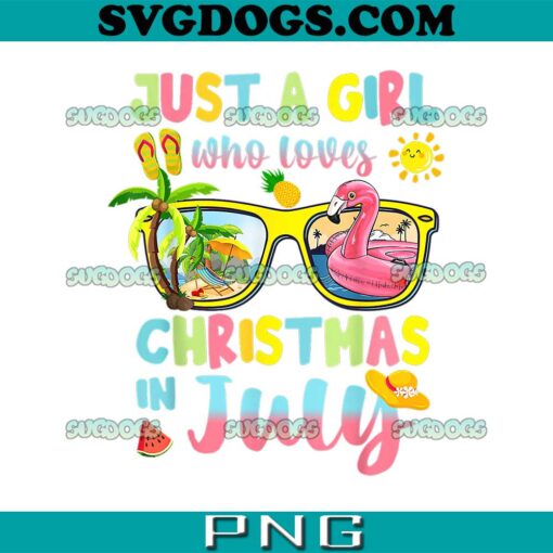 Just A Girl Who Loves Christmas In July PNG, Flamingo Sunglasses PNG, Summer Glasses PNG