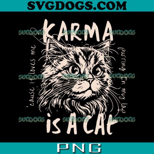 Karma Is A Cat SVG PNG, Me And Karma Vibe Like That SVG, Midnights Swift SVG, Taylor Swift SVG PNG EPS DXF