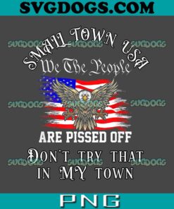 Don’t Try That In My Small Town USA PNG, Jason Aldean USA Flag PNG, We The People Are Pissed Off PNG