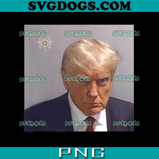 The Booking Photo Of Donald Trump PNG, Trump 2024 Mugshot PNG, Donald Trump PNG