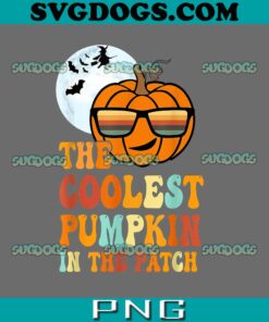 Coolest Pumpkin In The Patch PNG, Halloween PNG