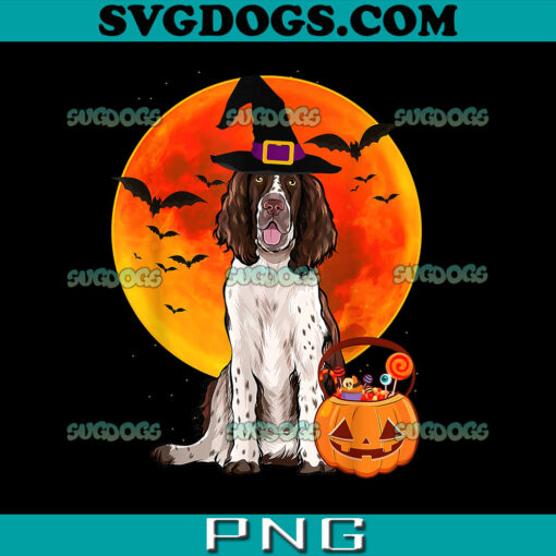 Halloween English Springer Spaniel PNG, Jack O Lantern Pumpkin PNG, Halloween Dog PNG