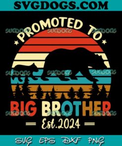 Kids Promoted to Big Brother Est 2024 SVG,  Pregnancy Announcement SVG, Father Day SVG PNG DXF EPS