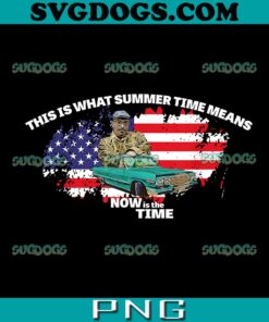This Is What Summertime PNG, Flag USA PNG, Trending PNG