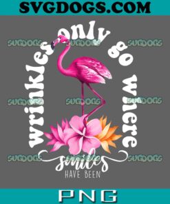 Wrinkles Only Go Where PNG, Flamingo PNG, Trending PNG