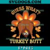 Zero Plucks Given Turkey PNG, Happy Thanksgiving PNG