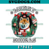 Merry Christmas Day PNG, Christmas Lights PNG, Hanging Stockings PNG