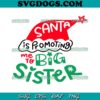 There’s Some Ho’s In This House SVG, Funny Santa SVG PNG EPS DXF