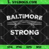 Maryland Baltimore Bridge SVG, Francis Scott Key Bridge SVG PNG DXF EPS