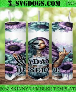 Rude Babe 20oz Tumbler, Have The Day You Deserve 20oz Tumbler Wrap PNG File