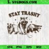 Stay Trashy SVG, Raccoon SVG PNG DXF EPS